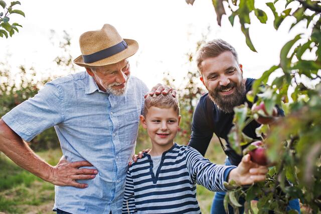 Bei der gesetzlichen Erbfolge sind die unterschiedlichsten familiären Konstellationen denkbar, entsprechend variantenreich sind die Erbfolgeregelungen. | Foto: DJD/BVR/Getty Images/Halfpoint