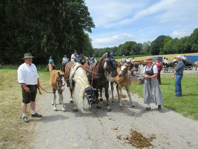 Alle Liebhaberinnen und Liebhaber der edlen Tiere kommen am Sonntag, 23. Juni, in Bauerbach bei der Pferdesegnung auf ihre Kosten.  | Foto: ger