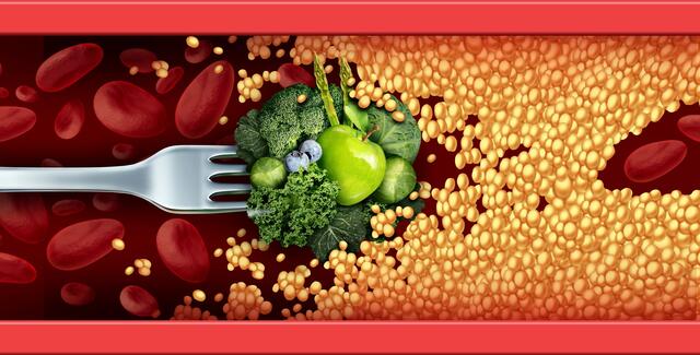 Frühzeitige und regelmäßige Vorsorgeuntersuchungen mit einem Check der Blutfettwerte sind zu empfehlen, um bei Bedarf entsprechend gegensteuern zu können. | Foto: depositphotos.com