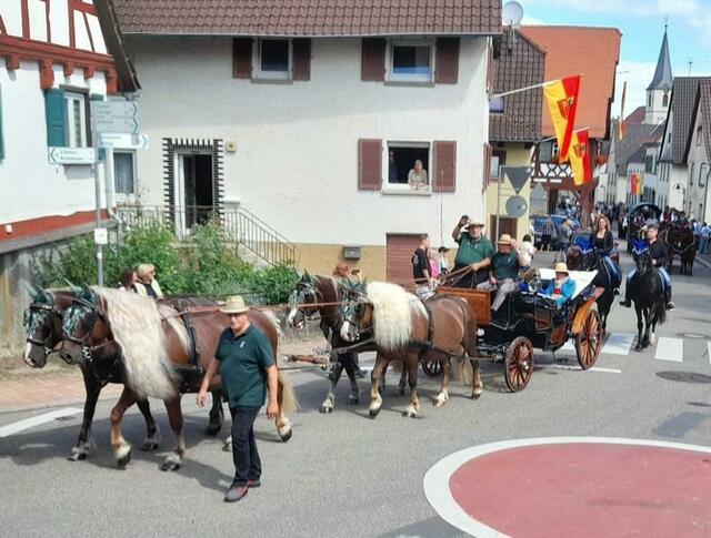 Vierspänner. Immer eine Augenweide.