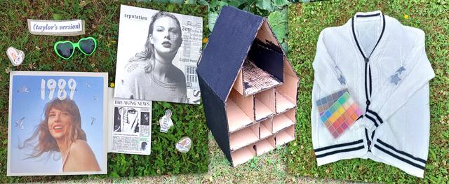 "Mein Sohn ist schon seit 8 Jahren riesen Taylor Swift Fan. Auf den Bildern sieht man sein Fan-Merch und das große Taylor Swift Lover-House, das er gerade baut", schreibt Marina Kehrer. | Foto: privat