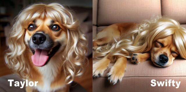 Eingereicht von Siegfried Bischof. | Foto: privat