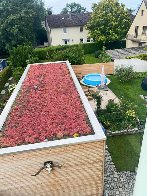 Ein Gründach hilft dabei, das Mikroklima rund ums Haus zu verbessern. Das ist gerade in heißen Sommern angenehm. | Foto: DJD/www.smart-house.com