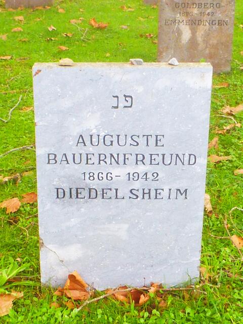 Jetzt ist der Gebortsort richtig. | Foto: privat