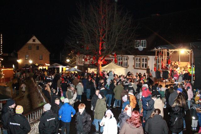 Foto: Barbara Lohner