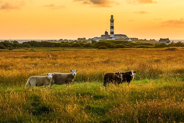 Bretagne | Foto: Hartmut Krinitz
