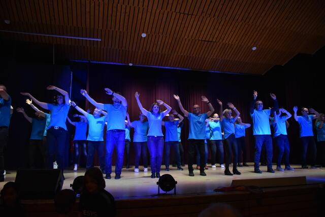 Mitreißende Show der Tanzgruppe des FCN  | Foto: FC Neibsheim