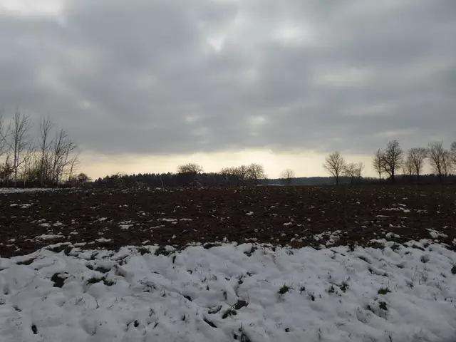 Ort des Grauens: Gewann Galgen | Foto: wb