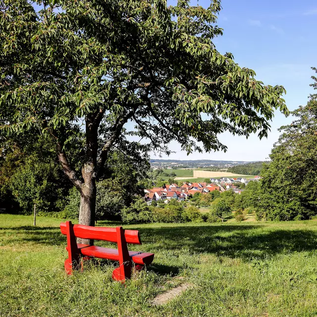 Die Hügelstürmerwege bieten malerische Ausblicke auf den Stadtteil Dürrenbüchig. | Foto: Thomas Rebel/Stadt Bretten