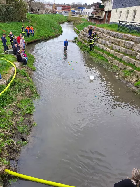 Endlich kommen Bälle | Foto: Ulla Haberkern
