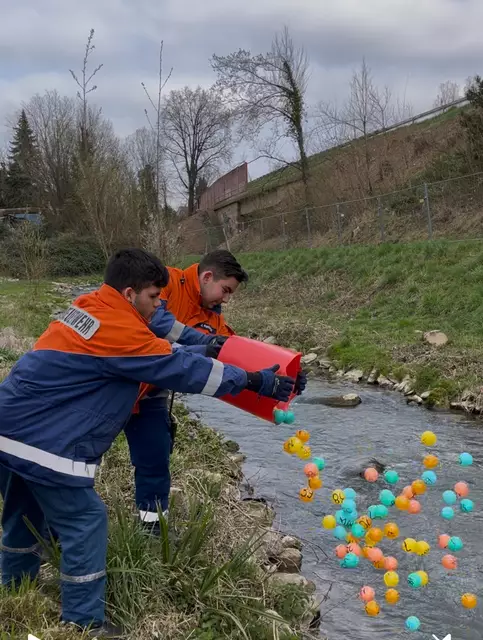 Bälle marsch! | Foto: Rolf Bickel