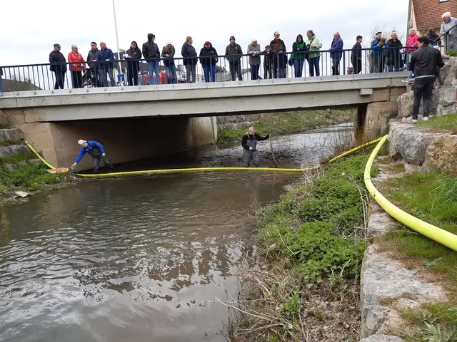 Geduld war angesagt | Foto: Heidi Leins