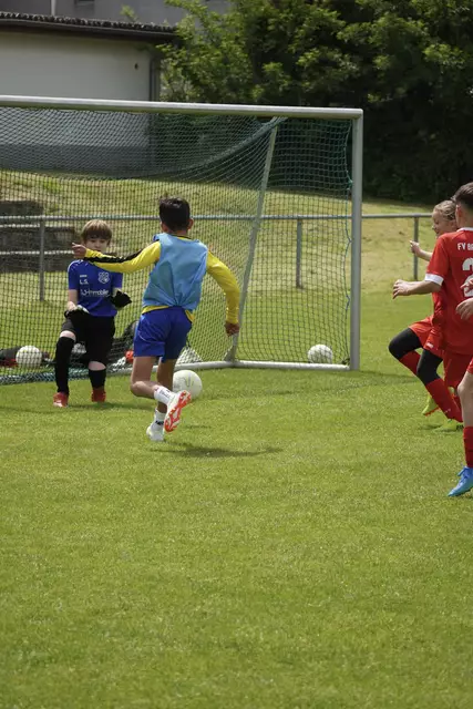 Die D-Junioren des FC Neibsheim | Foto: Marvin Westermann