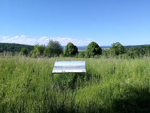 Schwarzwaldblick mit Infotafel