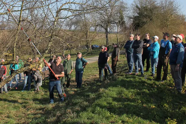 Andreas Siegele mit Teinehmern des Winterschnittkurses am Arweg | Foto: Foto: Thomas Peschel