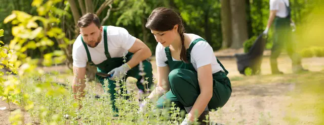 Wer naturverbunden ist, Spaß am Umgang mit Pflanzen hat und sich für biologische Vorgänge interessiert, kann sich bei der Stadt Bretten zur Gärtnerin oder zum Gärtner ausbilden lassen. Arbeit an der frischen Luft ist damit garantiert. | Foto: Photographee.eu / AdobeStock