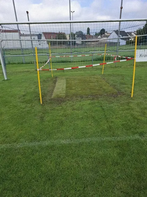 Rollrasen, gespendet von Gartenbau Markus Mohr | Foto: FC Neibsheim
