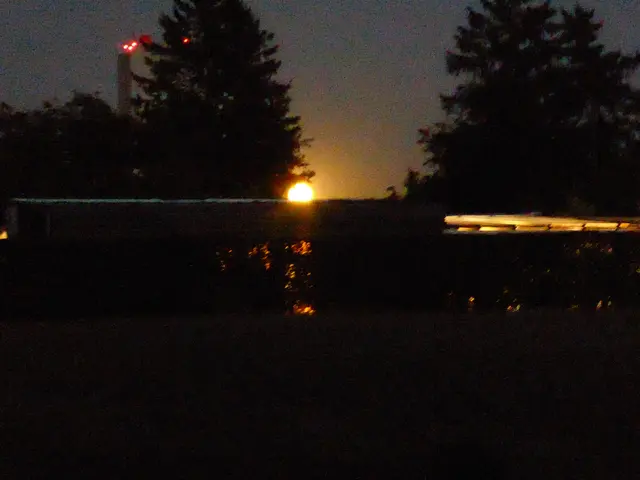 Festbeleuchtung | Foto: wb