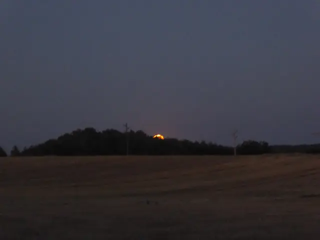 Vorsichtiges Erscheinen | Foto: wb