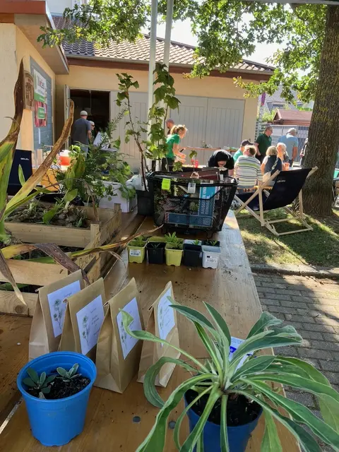 Pflanzentausch vor dem OGV Heim hinter der Rinklinger Schulturnhalle