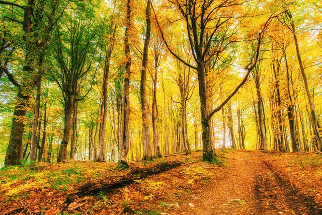 Foto: © standret - stock.adobe.com