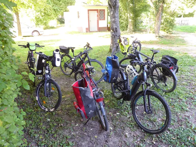 Wir sind mit dem Rad da... | Foto: wb