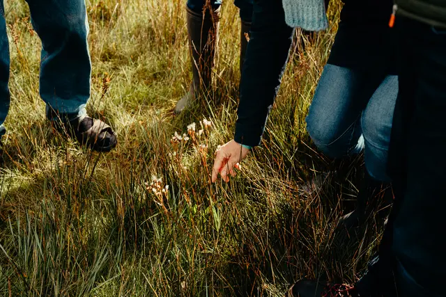 Foto: ©Knokke-Heist