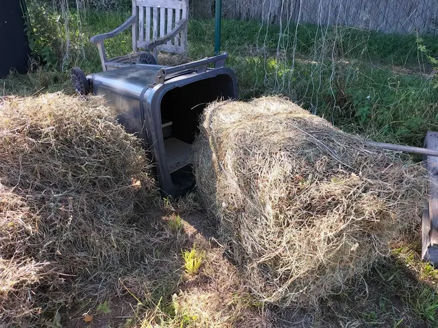 Foto: Mitmach-Garten Rüppurr und AG Tierschutz