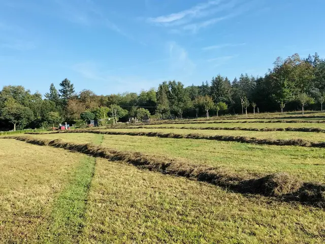 Foto: Mitmach-Garten Rüppurr und AG Tierschutz