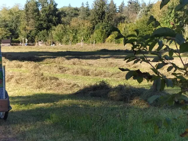 Foto: Mitmach-Garten Rüppurr und AG Tierschutz