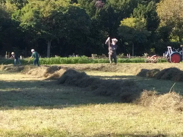 Foto: Mitmach-Garten Rüppurr und AG Tierschutz
