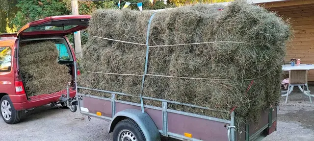 Foto: Mitmach-Garten Rüppurr und AG Tierschutz