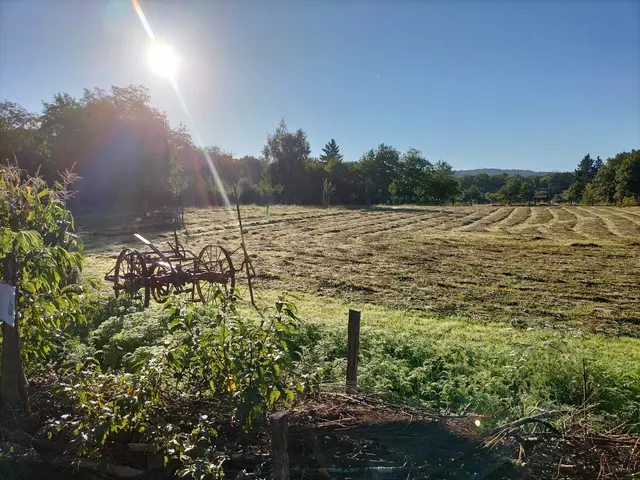 Foto: Mitmach-Garten Rüppurr und AG Tierschutz