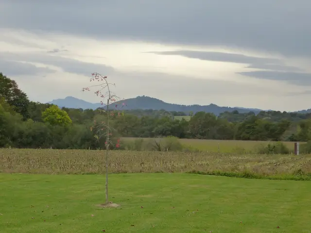 Gelände, auf dem das Lager stand. Im Hintergrund die Pyrenäen. | Foto: Leins