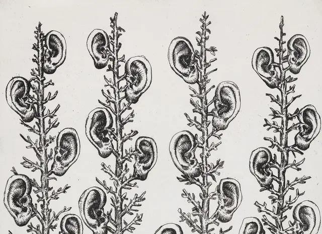 Radierung auf Bütten (Ausschnitt), 30 × 20 cm, 2025 | Foto: Roland Baege