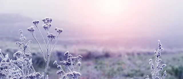 Foto: stock.adobe.com - Volodymyr