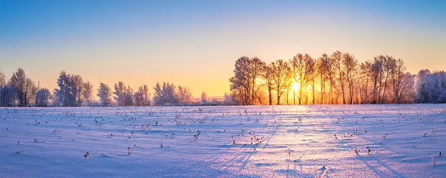 Ein winterliches Feld liegt still dar: Doch auch in der kalten Jahreszeit kultivieren Landwirte verschiedene Gemüsesorten. | Foto: yanikap / Adobe Stock