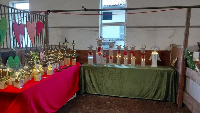 Beate's liebevoll hergestellte Weihnachtsdeko | Foto: Verein