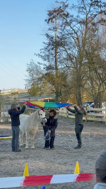 Foto: Michaela Holzhäuser