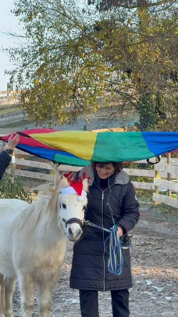 Artgerechtes und einfühlsames Training – DuaLini-Pferdetrainerin Michaela Holzhäuser mit Tierschutzpony Gwyn | Foto: Michaela Holzhäuser