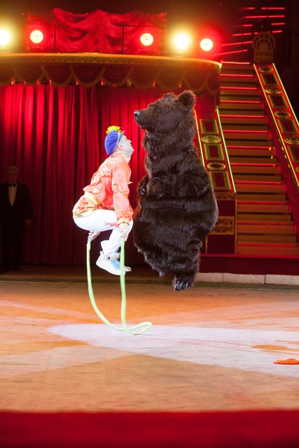 Boris Nikishkin, der Star-Clown aus Moskau, gibt sich die Ehre im Heilbronner Weihnachtscircus | Foto: Heilbronner Weihnachtscircus