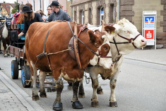 Foto: Veranstalter