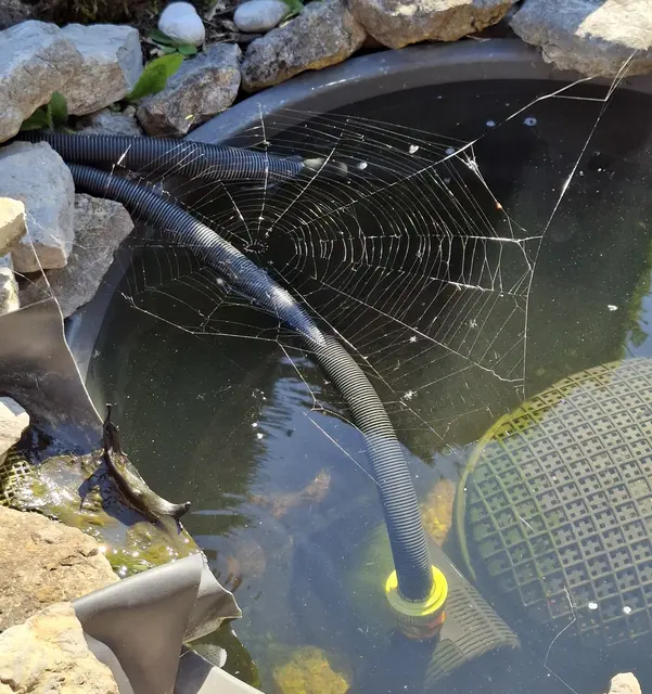 65 cm Durchmesser hat das Wasserreservoir 